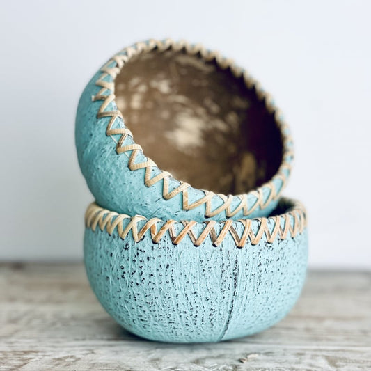 Coconut bowl celeste
