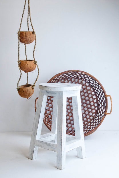 Kokosnoot plantenhanger