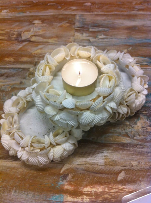 Teelichthalter aus Muscheln