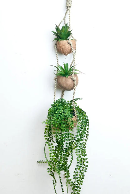 Kokosnoot plantenhanger
