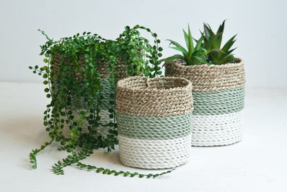 Plantenmandjes seagrass naturel/groen-grijs/wit