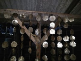 Capiz schelpen gordijn natural big goud