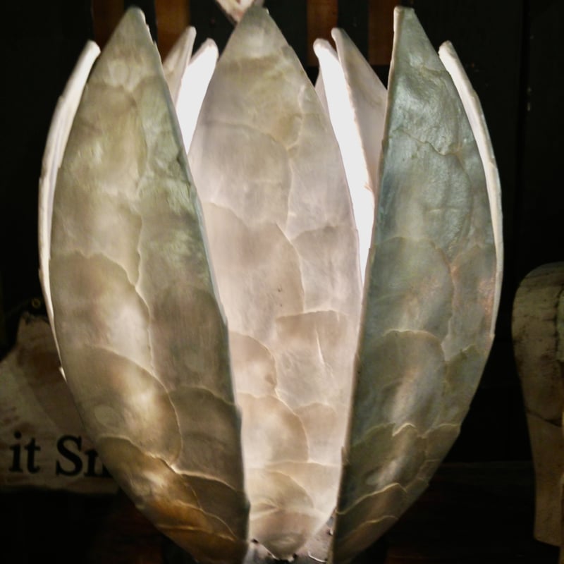 Capiz schelpen tafellamp lotuslamp